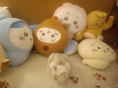 -小杨生煎(深圳岗厦北店)