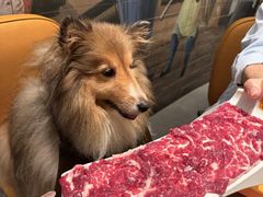 -潮发潮汕牛肉店(长隆店)