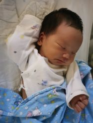 -复旦大学附属妇产科医院(杨浦院区)