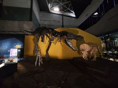 -湖南省地质博物馆