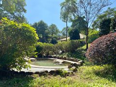 -佛冈森波拉度假区