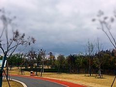 -上海长兴岛郊野公园