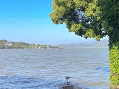 -东钱湖旅游度假区