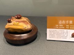 -大连自然博物馆