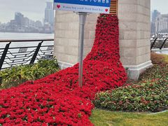 -上海港国际客运中心