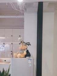 -LJOY丽锦造型·烫发染发