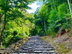-仙霞关景区