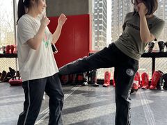 -极斗-IKMF马伽术·格斗运动学院(东直门店)