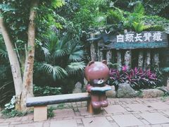 -海南热带野生动植物园