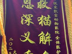 -悦宠凯宝动物医院·牙科·皮肤科(朝阳北路店)