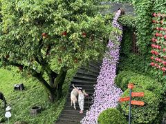 -巴倒烫陆派火锅山庄(南山总店)