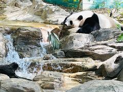 -广州长隆野生动物世界