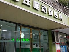-汪喵宠物医院·骨科心脏影像·犬猫急重症ICU诊疗中心(成华分院)