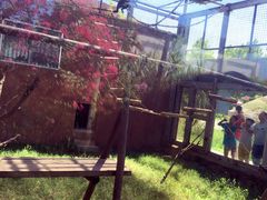 -临沂动植物园