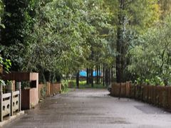 -日照海滨国家森林公园