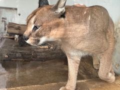 -云南野生动物园