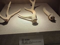 -南越王博物院(王宫展区)
