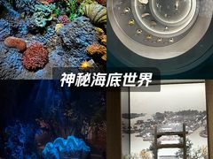 -中国湿地博物馆