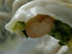 -东北农业大学饺子园