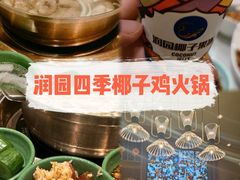 -润园四季椰子鸡火锅(南山海岸城店)