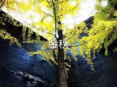 -北宫国家森林公园