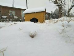 -兰陵国家农业公园