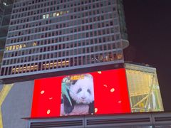 -鑫记婆婆兔·兔头(春熙店)