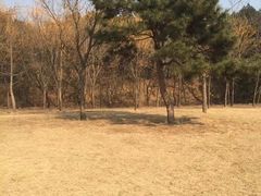 -香山公园