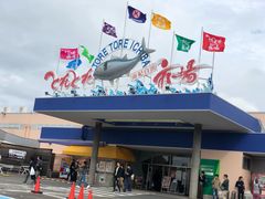 -海鮮寿司とれとれ市場