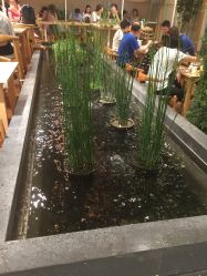 -悦诗风吟innisfree