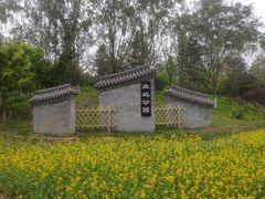 -北坞公园