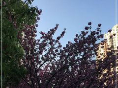 -苏州河梦清园环保主题公园