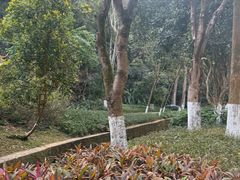 -火炉山森林公园