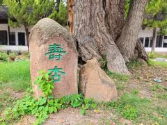 -苏州碑刻博物馆