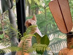 -自由生长植物工作室(深港花卉中心店)