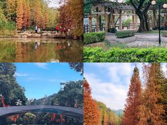 -云溪植物园