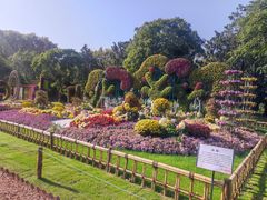 -上海共青森林公园