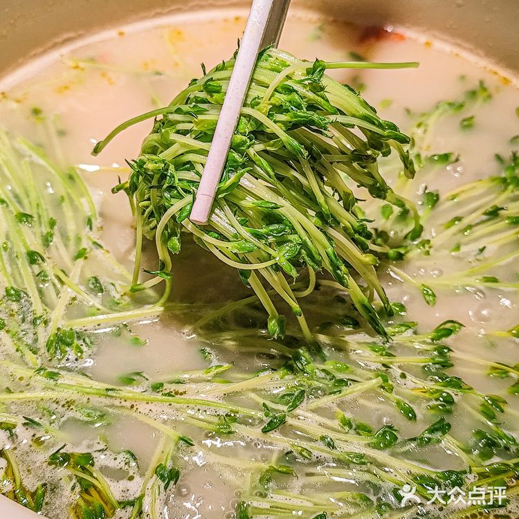 猪肚鸡烫野菜！汤底都被男朋友喝光了！