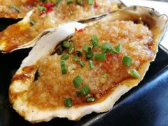 -九府羊·鲜羊火锅·烤串(新华路店)