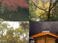 -岳麓山风景名胜区