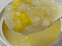 -凯鸽酒楼(操场城店)