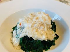 龙虾蟹肉扒菜苗-宝丽轩中餐厅BAOLIXUAN