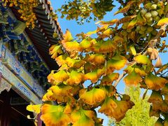 -大明幻境第一城