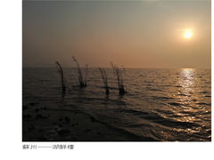 -湖鲜楼