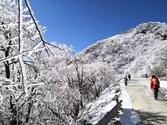 -终南山国家森林公园