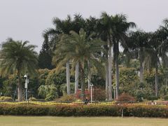 -白鹭洲公园