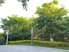 -五缘湾湿地公园