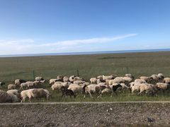 -青海湖国家重点风景名胜区