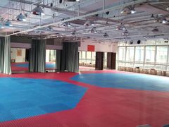 -陈中跆拳道(中关村馆)