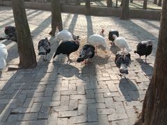 -南京金牛湖风景区